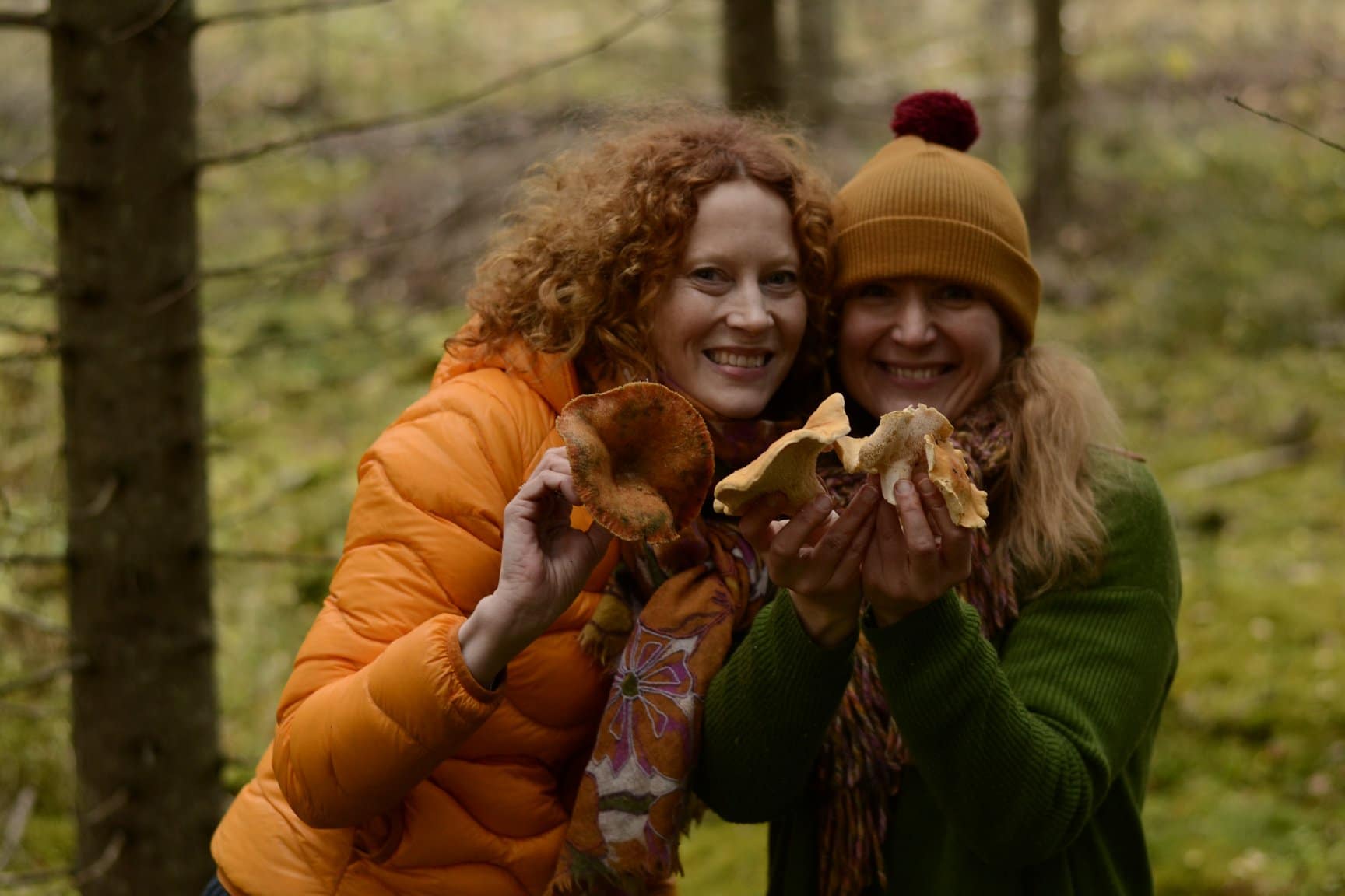 Hotelli Punkaharju Saimi Hoyer sienimetsällä