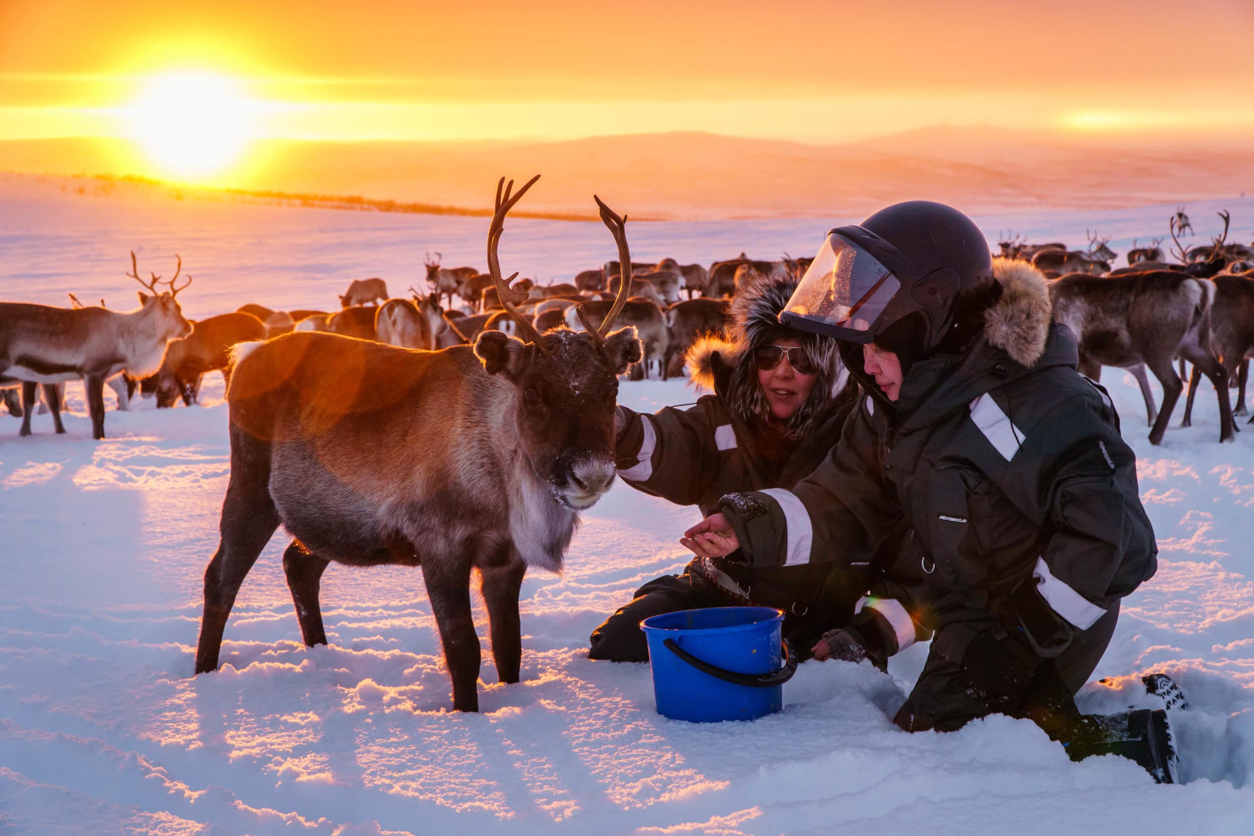 Arctic Land Adventure