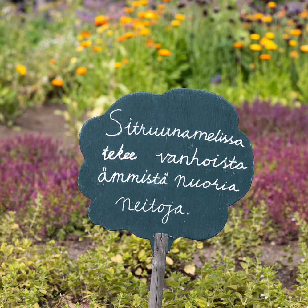 Tertin kartano yrttikyltti